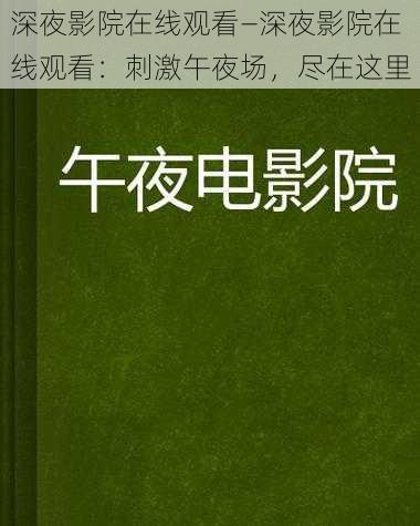 深夜影院在线观看—深夜影院在线观看：刺激午夜场，尽在这里