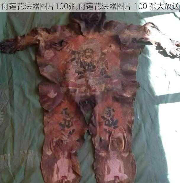 肉莲花法器图片100张,肉莲花法器图片 100 张大放送