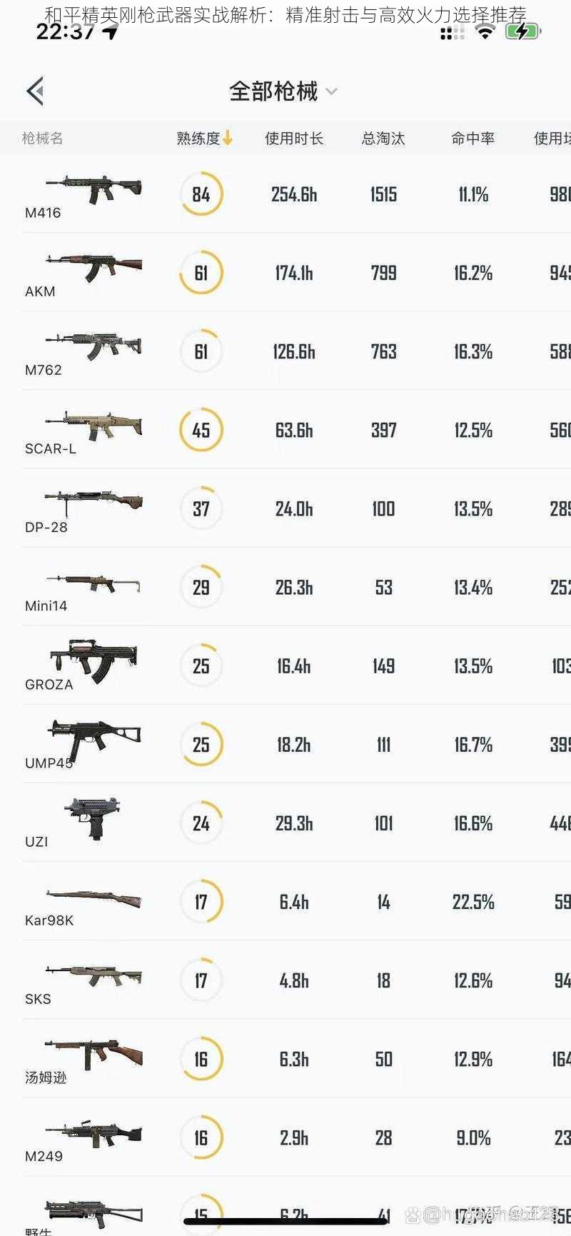 和平精英刚枪武器实战解析：精准射击与高效火力选择推荐