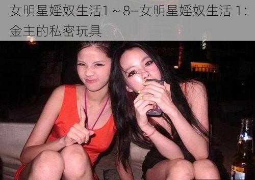 女明星婬奴生活1～8—女明星婬奴生活 1：金主的私密玩具