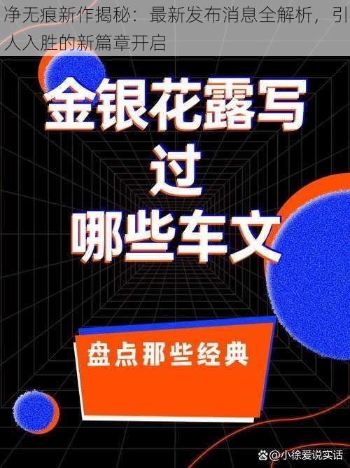 净无痕新作揭秘：最新发布消息全解析，引人入胜的新篇章开启