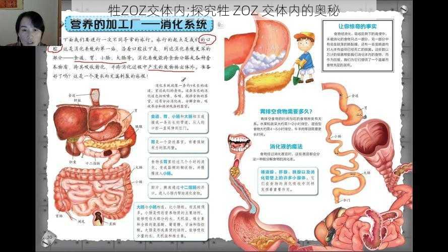 牲ZOZ交体内;探究牲 ZOZ 交体内的奥秘