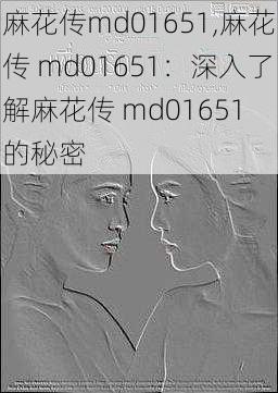 麻花传md01651,麻花传 md01651：深入了解麻花传 md01651 的秘密