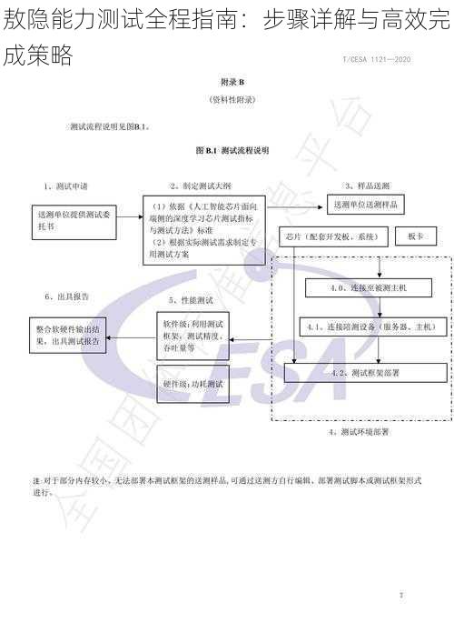 敖隐能力测试全程指南：步骤详解与高效完成策略