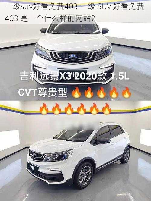 一级suv好看免费403 一级 SUV 好看免费 403 是一个什么样的网站？