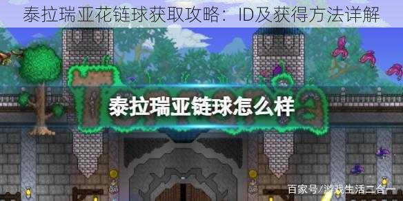 泰拉瑞亚花链球获取攻略：ID及获得方法详解