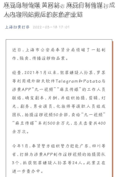 麻豆自制传媒 黄网站、麻豆自制传媒：成人内容网站背后的灰色产业链