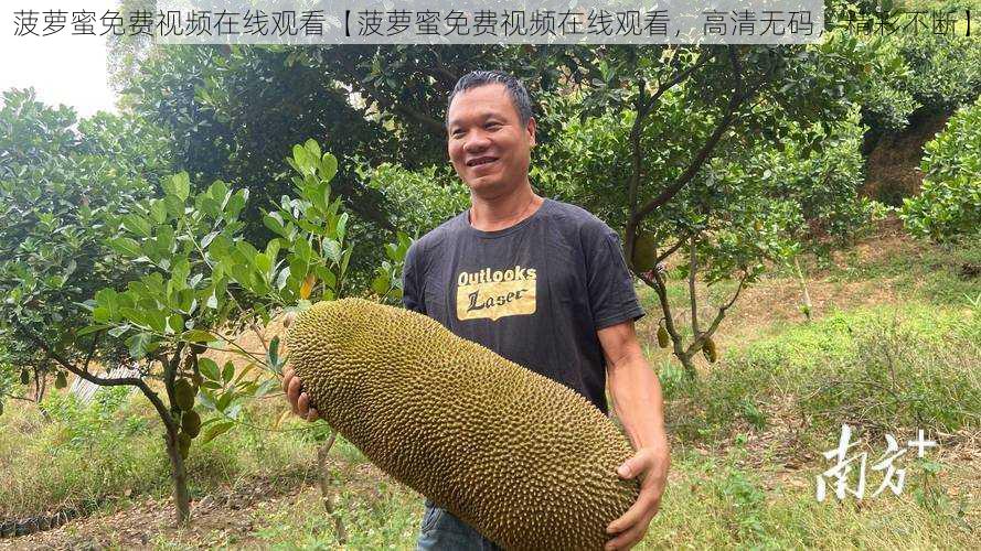 菠萝蜜免费视频在线观看【菠萝蜜免费视频在线观看，高清无码，精彩不断】