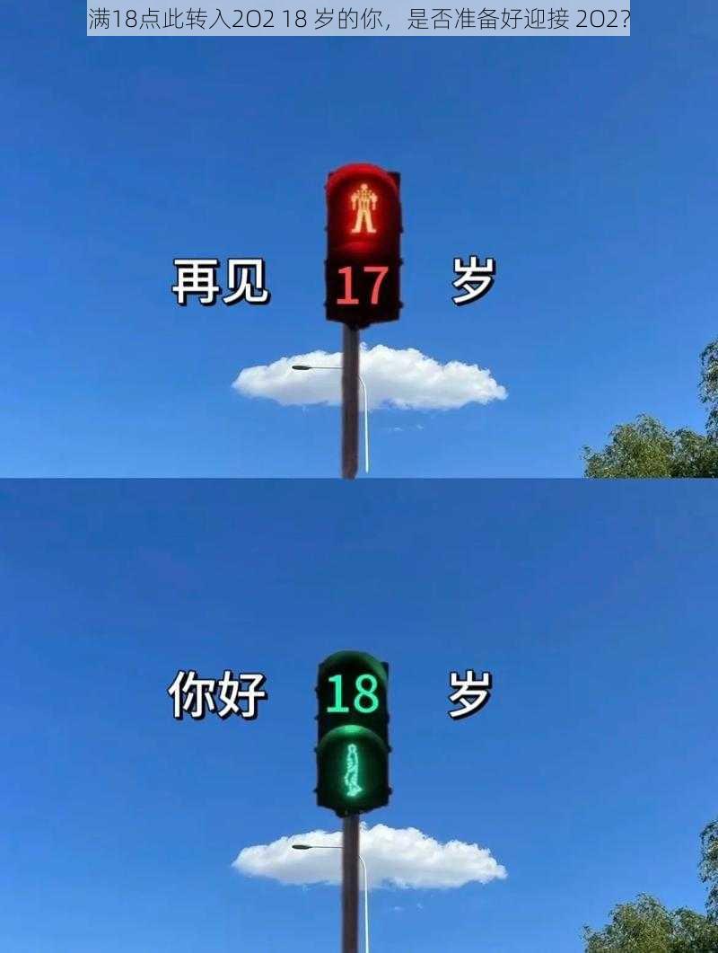 满18点此转入2O2 18 岁的你，是否准备好迎接 2O2？