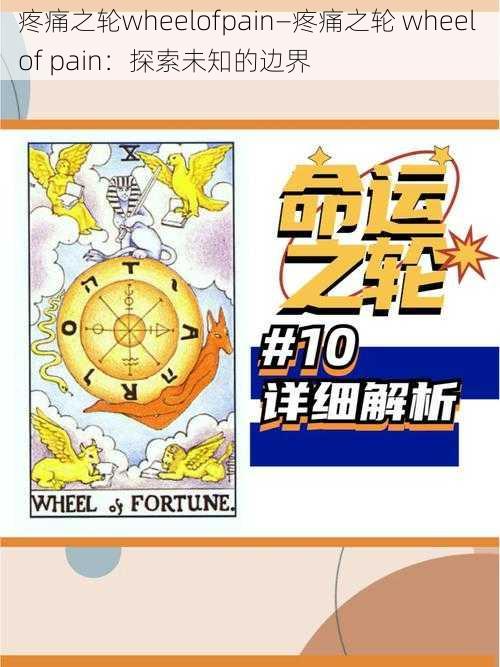 疼痛之轮wheelofpain—疼痛之轮 wheel of pain：探索未知的边界