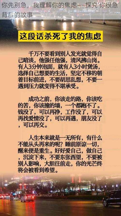 你先别急，我理解你的焦虑——探究‘你很急’背后的故事