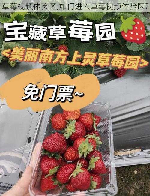 草莓视频体验区;如何进入草莓视频体验区？