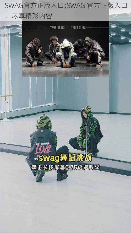 SWAG官方正版入口;SWAG 官方正版入口，尽享精彩内容