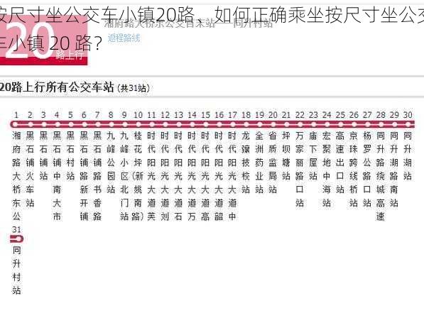 按尺寸坐公交车小镇20路、如何正确乘坐按尺寸坐公交车小镇 20 路？