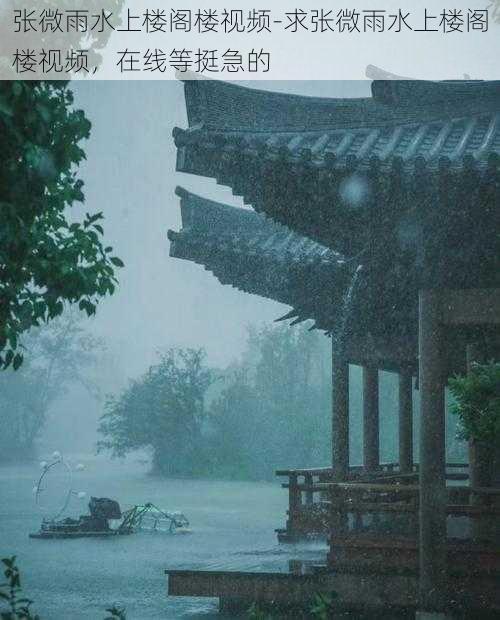 张微雨水上楼阁楼视频-求张微雨水上楼阁楼视频，在线等挺急的