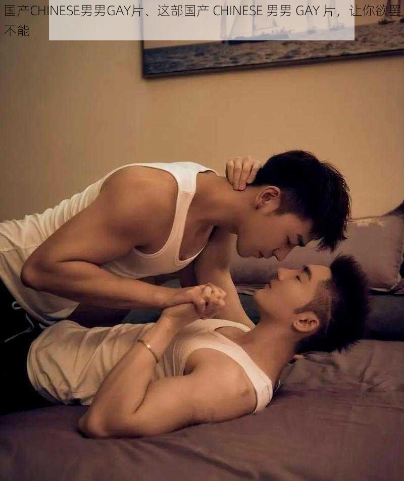 国产CHINESE男男GAY片、这部国产 CHINESE 男男 GAY 片，让你欲罢不能