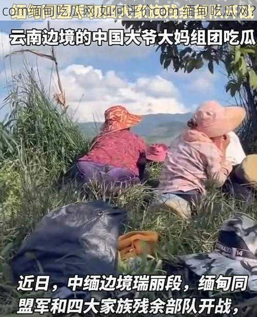 com缅甸吃瓜网,如何评价com 缅甸吃瓜网？