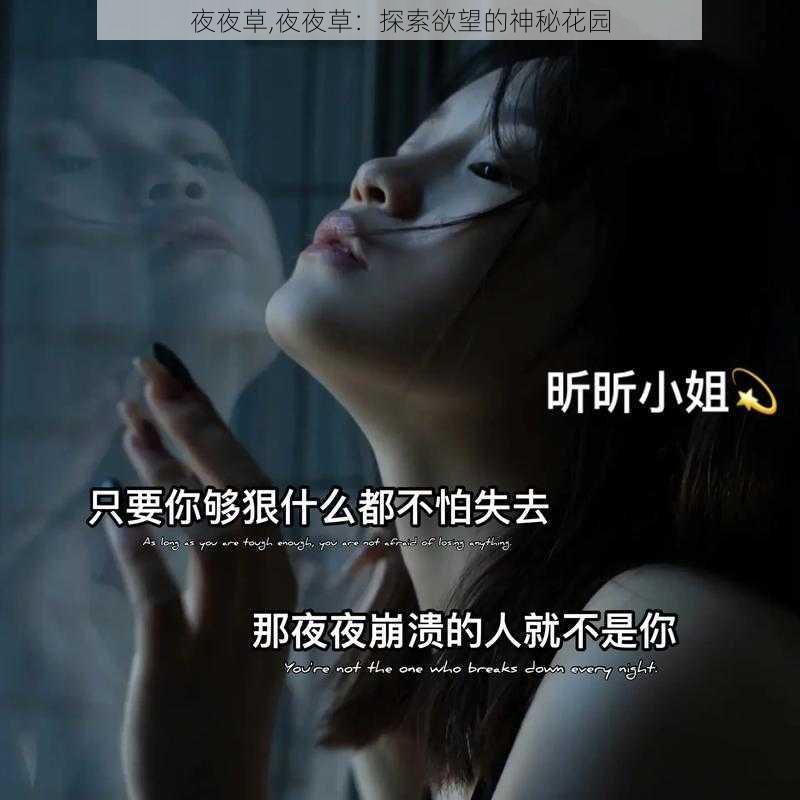 夜夜草,夜夜草：探索欲望的神秘花园