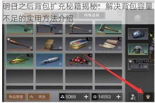 明日之后背包扩充秘籍揭秘：解决背包容量不足的实用方法介绍