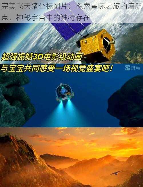 完美飞天猪坐标图片：探索星际之旅的启航点，神秘宇宙中的独特存在