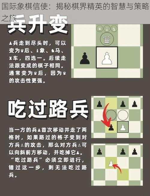 国际象棋信使：揭秘棋界精英的智慧与策略之旅