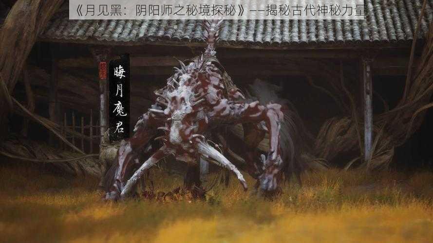 《月见黑：阴阳师之秘境探秘》——揭秘古代神秘力量