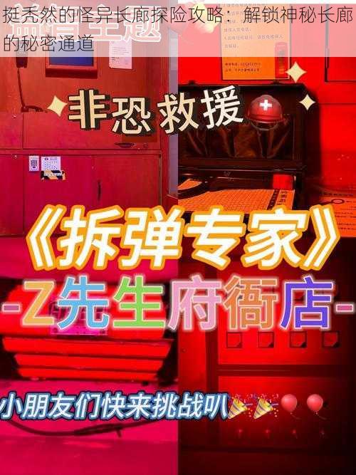 挺秃然的怪异长廊探险攻略：解锁神秘长廊的秘密通道