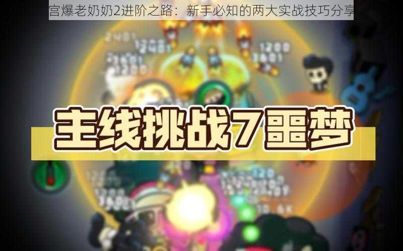 宫爆老奶奶2进阶之路：新手必知的两大实战技巧分享